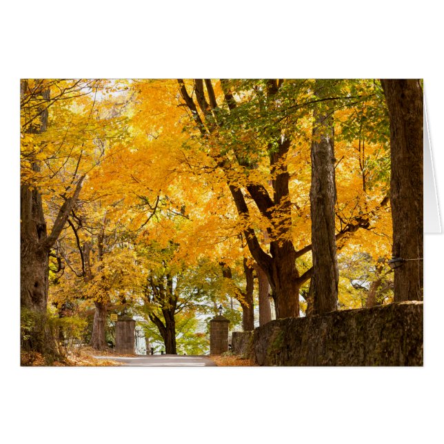 Alenberry Resort Entry (Voorkant Horizontaal)