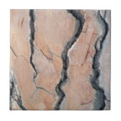 Aleppo-pijnboom Tegeltje (Voorkant)