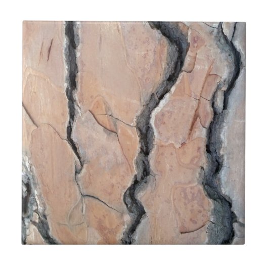 Aleppo-pijnboom Tegeltje (Voorkant)