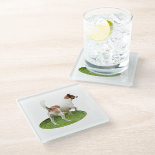 Alert and Ready: een bruine en witte Fox Terrier Glazen Onderzetter