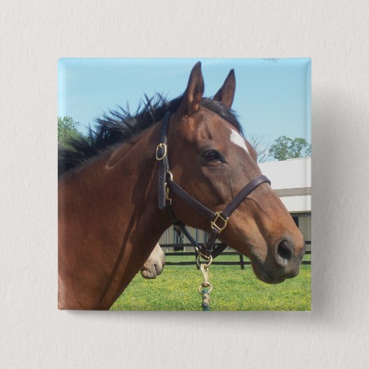 Alert Arab Horse Pin Vierkante Button 5,1 Cm (Voorkant)