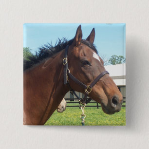 Alert Arab Horse Pin Vierkante Button 5,1 Cm