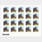 Alert Arab Horse Stickers (Vel)