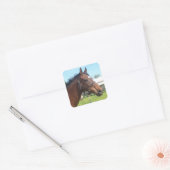 Alert Arab Horse Stickers (Envelop)