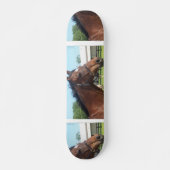 Alert Arabian Horse Skateboard (Voorkant)