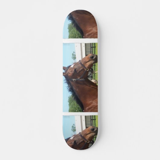 Alert Arabian Horse Skateboard (Voorkant)