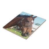 Alert Arabian Horse Tile Tegeltje (Zijkant)