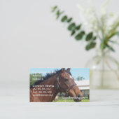 Alert Arabian Horse Visitekaartje (Staand voorkant)
