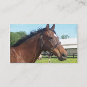 Alert Arabian Horse Visitekaartje (Achterkant)