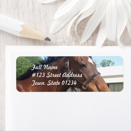 Alert Arabisch Paard Retouradres Mailing Label (Insitu)