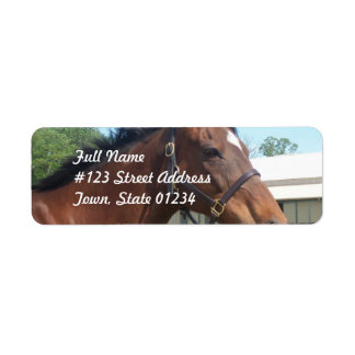 Alert Arabisch Paard Retouradres Mailing Label