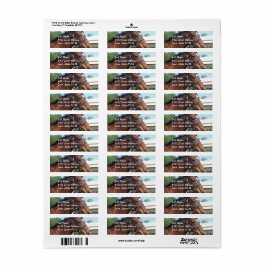 Alert Arabisch Paard Retouradres Mailing Label (Full Sheet)