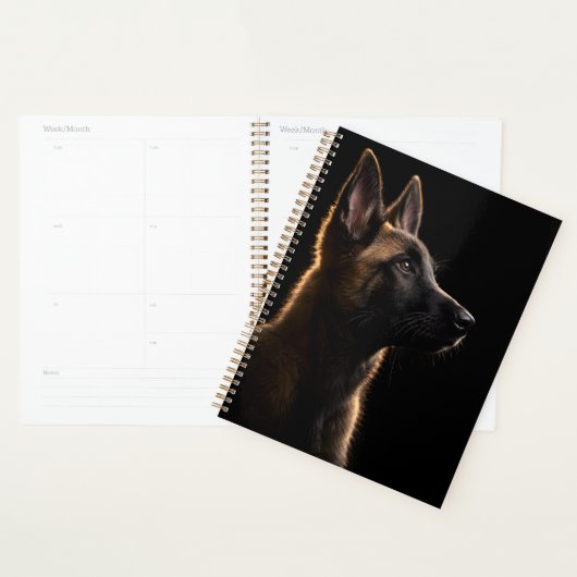 Alert Bewaker Planner (Display)