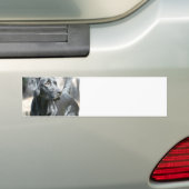 Alert Black Lab Bumperstickers (Op auto)