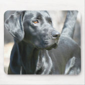 Alert Black Lab Muismat (Voorkant)