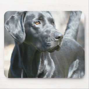 Alert Black Lab Muismat