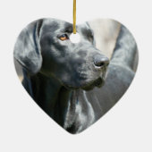 Alert Black Labrador Rertriever Dog Ornament (Achterkant)