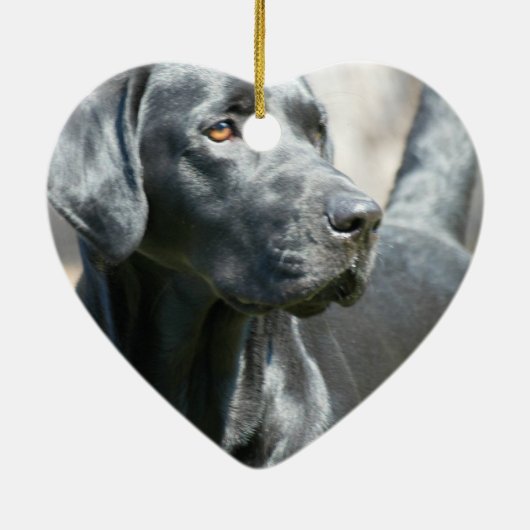 Alert Black Labrador Rertriever Dog Ornament (Achterkant)