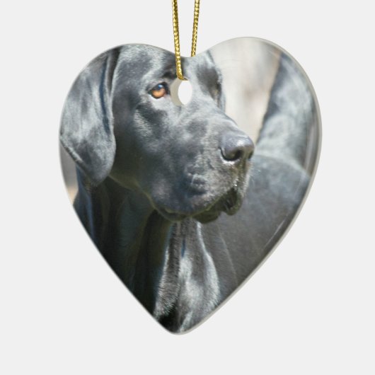 Alert Black Labrador Rertriever Dog Ornament (Links)