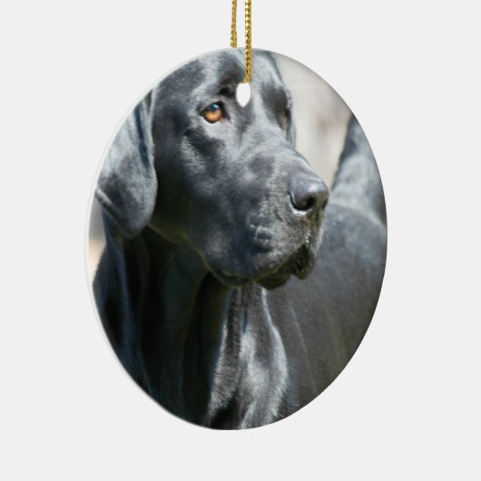 Alert Black Labrador Retriever Dog Ornament (Rechts)