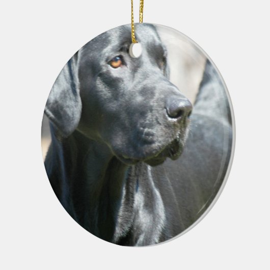 Alert Black Labrador Retriever Dog Ornament (Links)