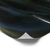 Alert Black Labrador Retriever Dog Poster (Hoek)