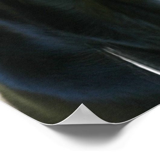 Alert Black Labrador Retriever Dog Poster (Hoek)