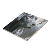 Alert Black Labrador Retriever Dog Tile Tegeltje (Zijkant)