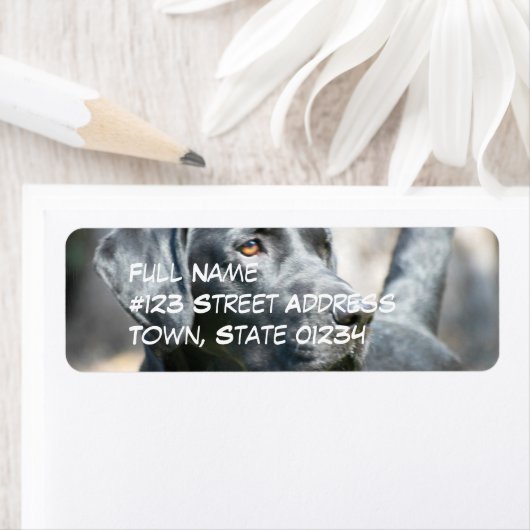 Alert Black Labrador Retriever Hond Mailing Labels (Insitu)