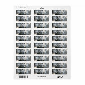 Alert Black Labrador Retriever Hond Mailing Labels (Full Sheet)