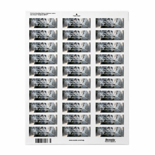 Alert Black Labrador Retriever Hond Mailing Labels (Full Sheet)