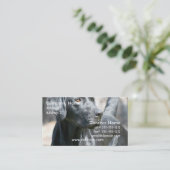 Alert Black Labrador Retriever Visitekaartjes (Staand voorkant)