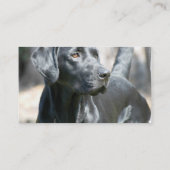Alert Black Labrador Retriever Visitekaartjes (Achterkant)