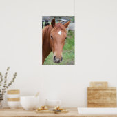 Alert Brown Horse Close Poster (Keuken)