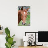 Alert Brown Horse Close Poster (Thuiskantoor)