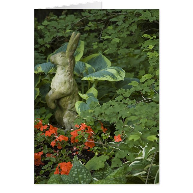 ALERT BUNNY (Voorkant)