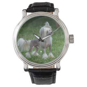 Alert Chinese Crested Dog Horloge