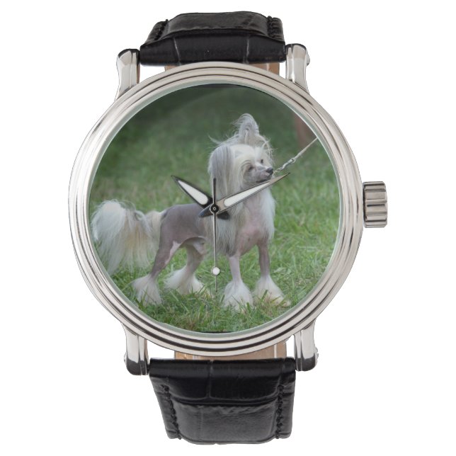 Alert Chinese Crested Dog Horloge (Voorkant)