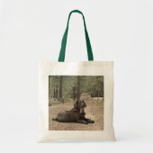 Alert Chocolade Lab op een bos spoor Tote Bag (Voorkant)
