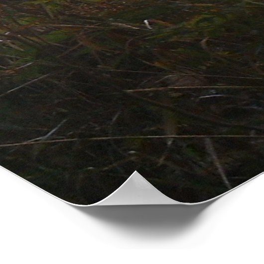 Alert Doe Poster (Hoek)