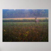 Alert Doe Poster (Voorkant)