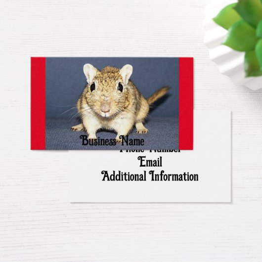 Alert Gerbil Visitekaartje (Bureau)