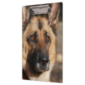 Alert German Shepherd Klembord (Links)