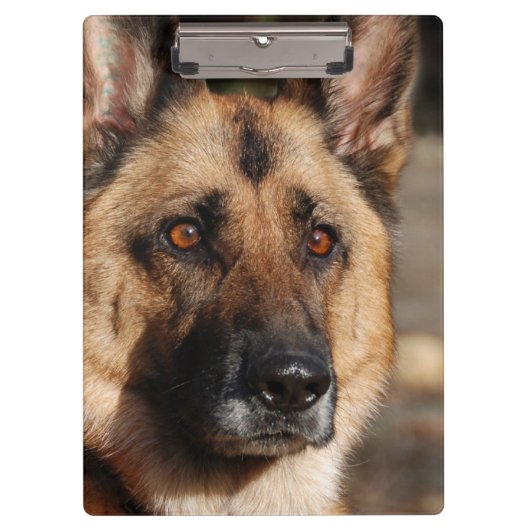Alert German Shepherd Klembord (Voorkant)