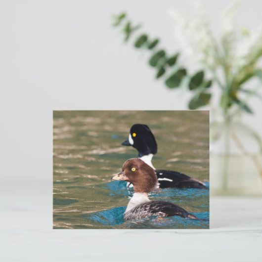 Alert Goldeneye Briefkaart (Staand voorkant)