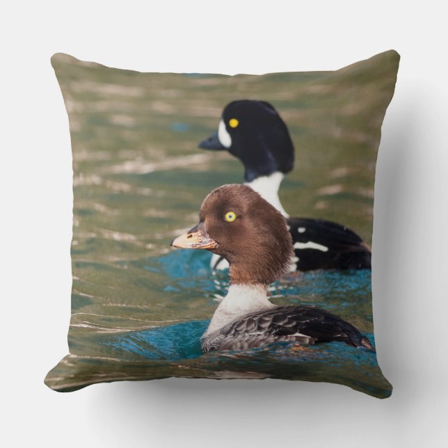 Alert Goldeneye Kussen (Voorkant)