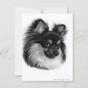 Alert langharige Chihuahua handgetekende kunst Briefkaart