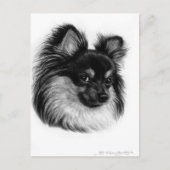 Alert langharige Chihuahua handgetekende kunst Briefkaart (Voorkant)