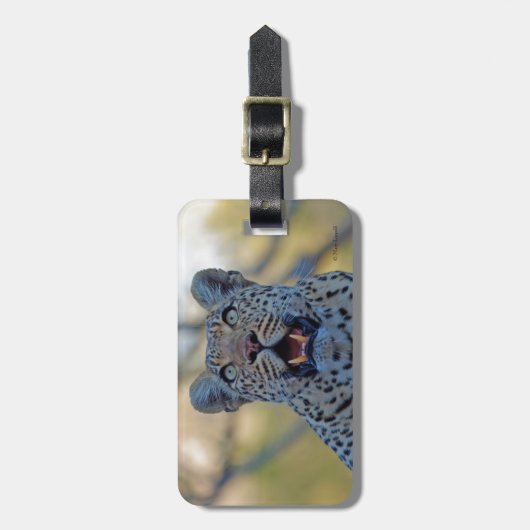 Alert Leopard Bagagelabel (Voorkant verticaal)