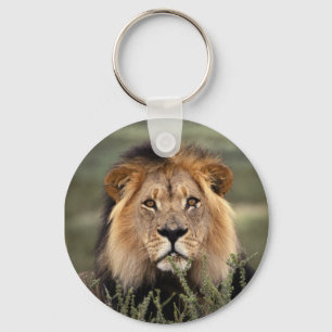 Alert Lion Sleutelhanger